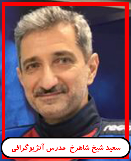 سعید شیخ شاهرخ